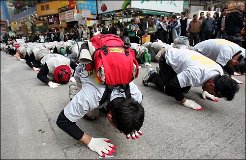 한국 전국농민회총연맹(전농) 소속 농민들이 15일 홍콩에서 WTO(세계무역기구) 각료회의가 열리는 홍콩 컨벤션 센터로 향하면서 3보1배를 하고 있다. 